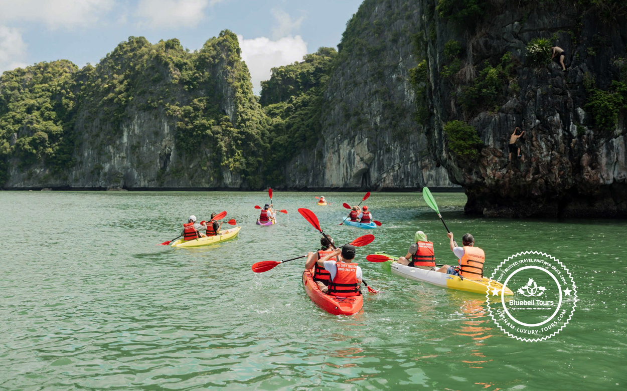 cruises in ha long bay