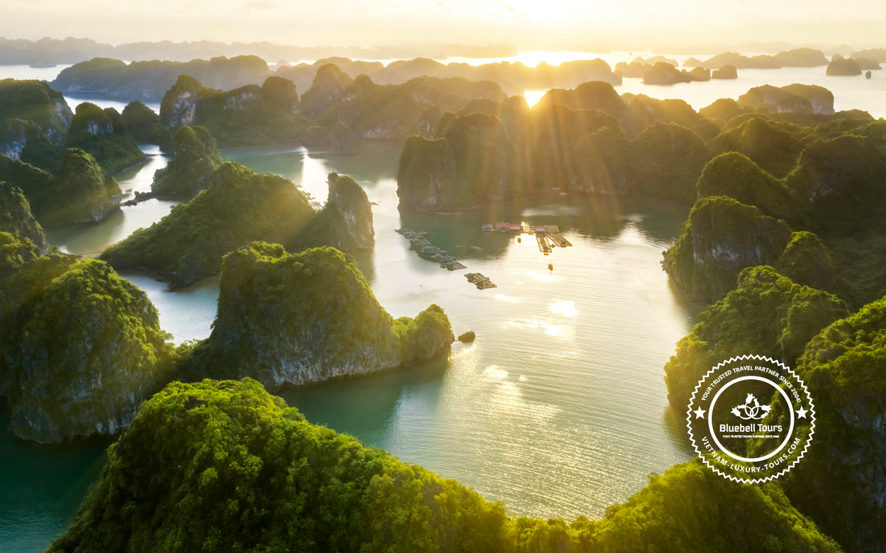 cruise tours in halong bay