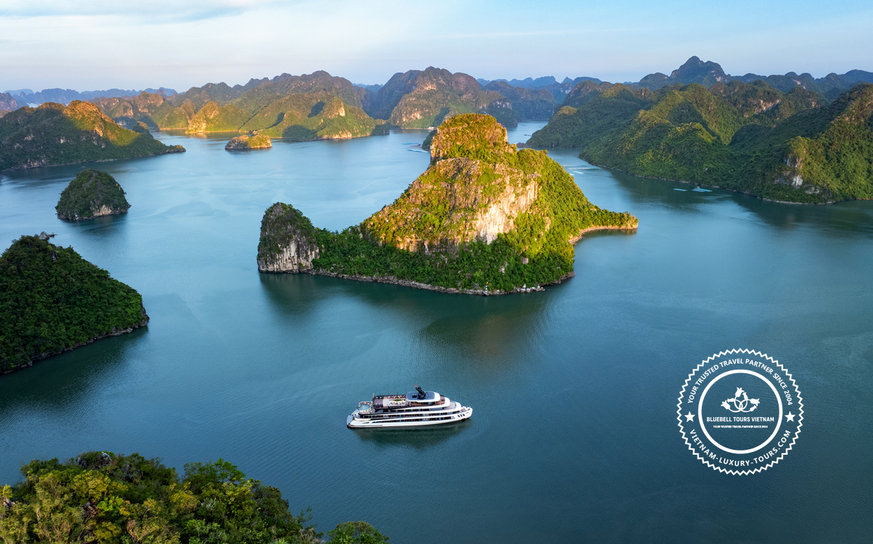 cruises in halong bay