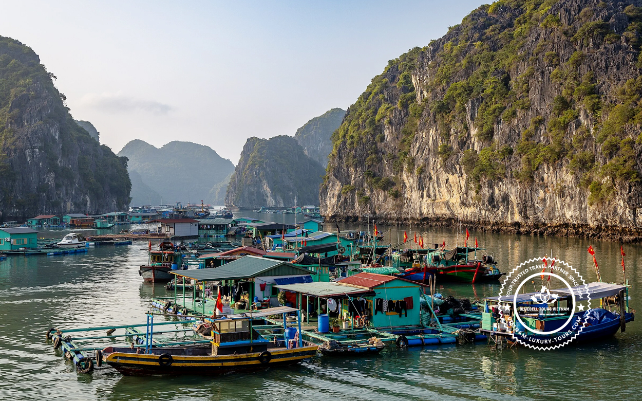 tours to ha long bay